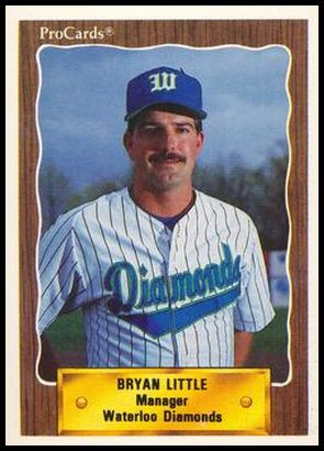 2393 Bryan Little